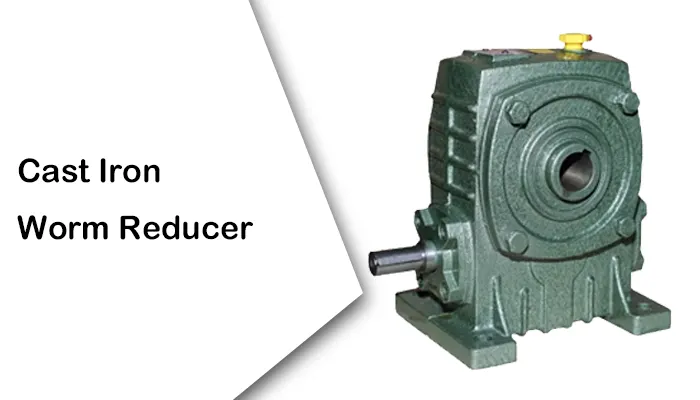 Cast Iron Worm Reducer