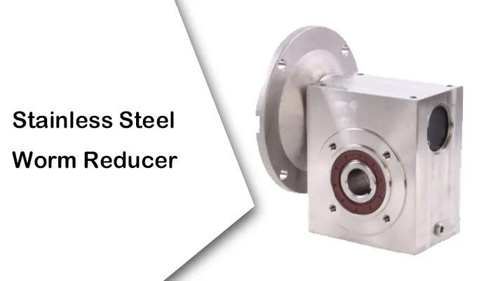 Stainless Steel Worm Reducer