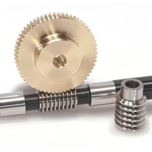 Duplex Worms Gear