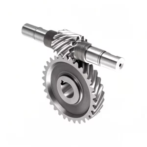 Stainless Steel Worm Gear