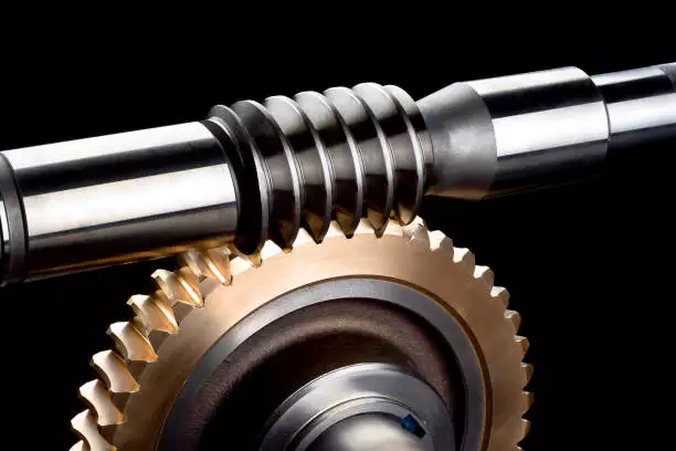 Duplex Worm Gear Image