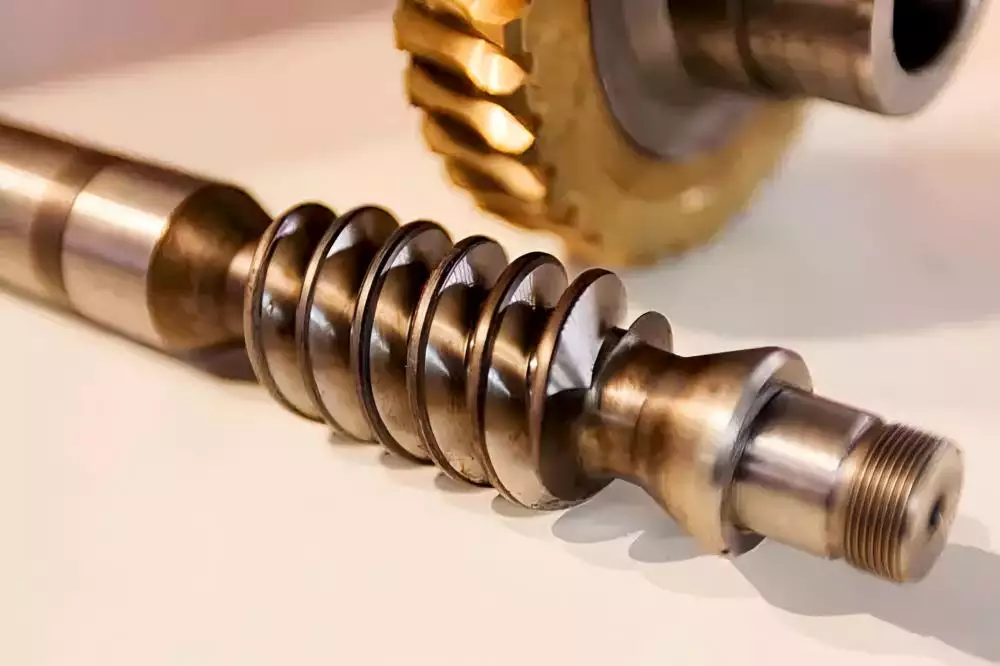 Cylindrical Worm Gear and Shaft