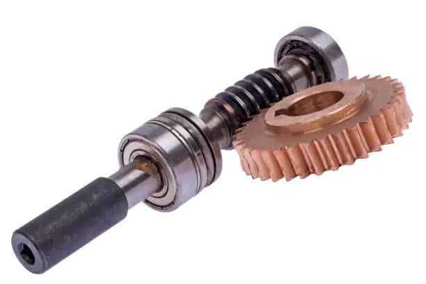 Cylindrical Worm Wheel and Worm Shaft