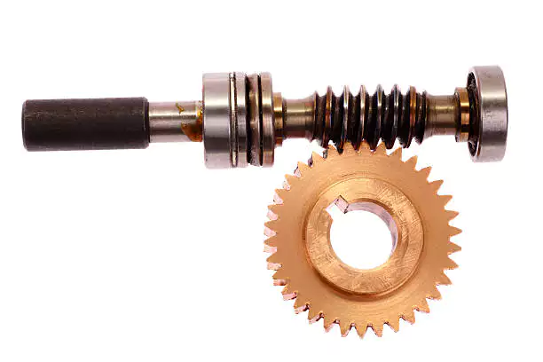 Duplex Worm Gear Components