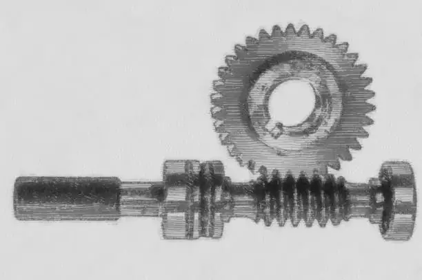Duplex Worm Gear
