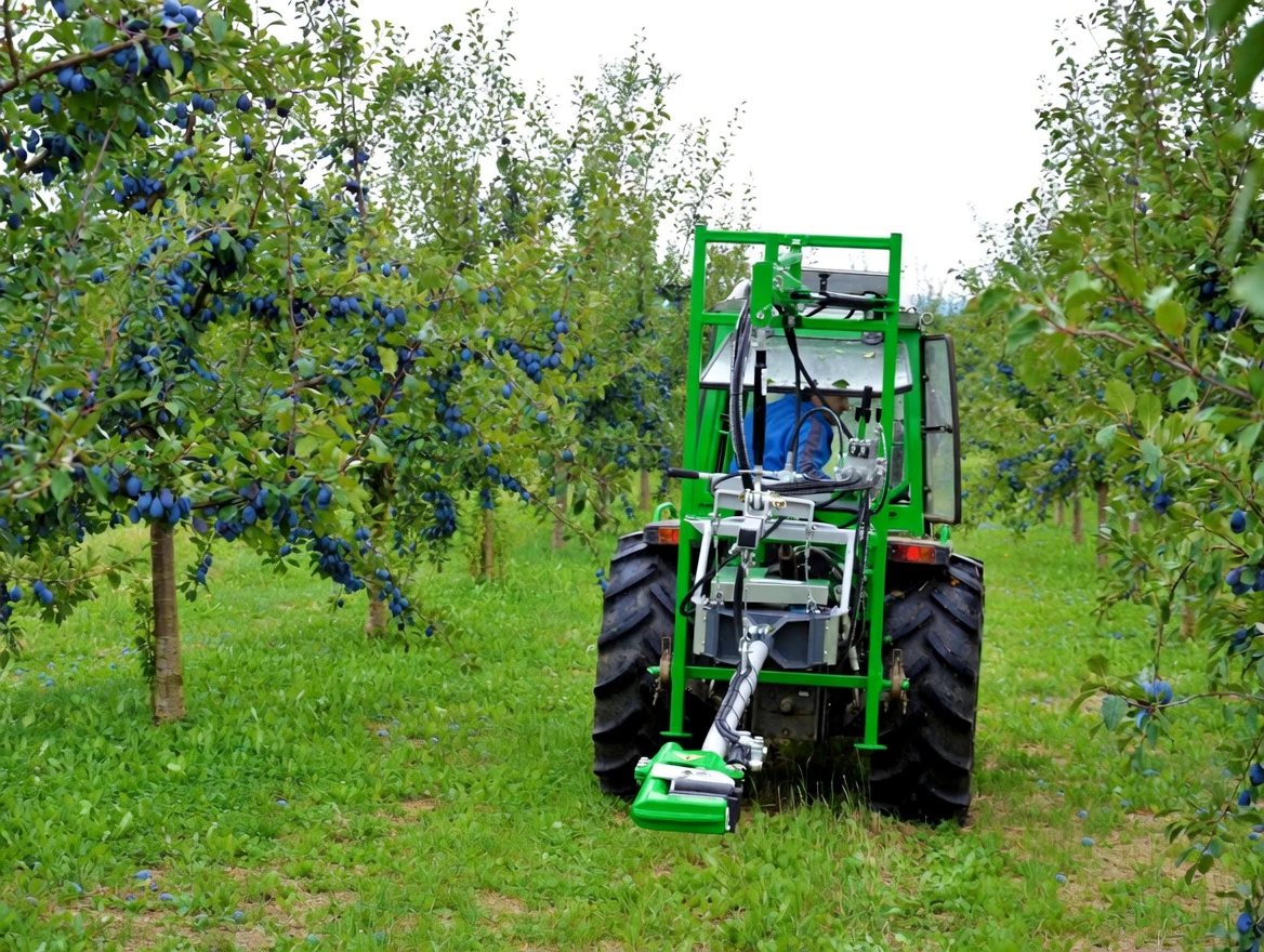 Tree Shaker Harvesting Application