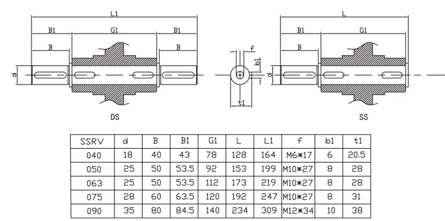 SSRV-090 series 304 stainless steel output shaft dimensions and keyway profiles