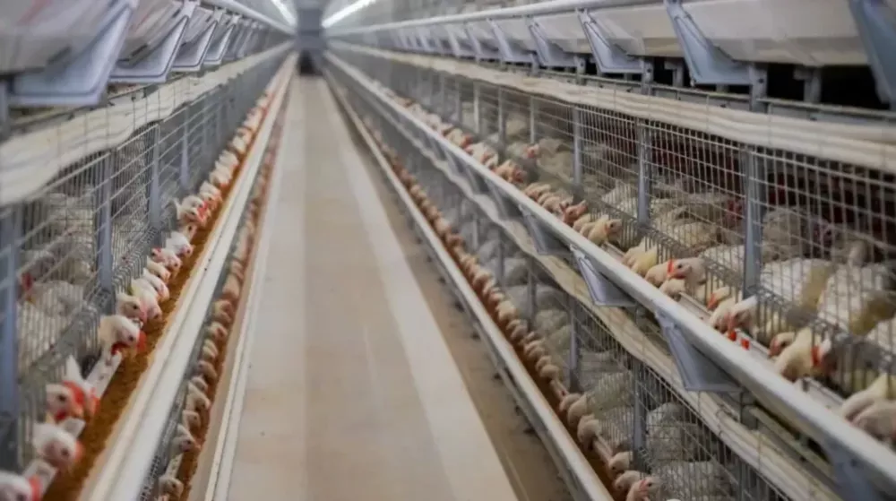 worm gear reducer Australia - Center Pivot Irrigation