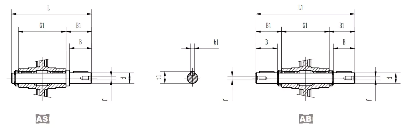 GBC-NRV-VS worm gearbox low-speed output shaft options — hollow shaft, solid shaft, and keyed configurations