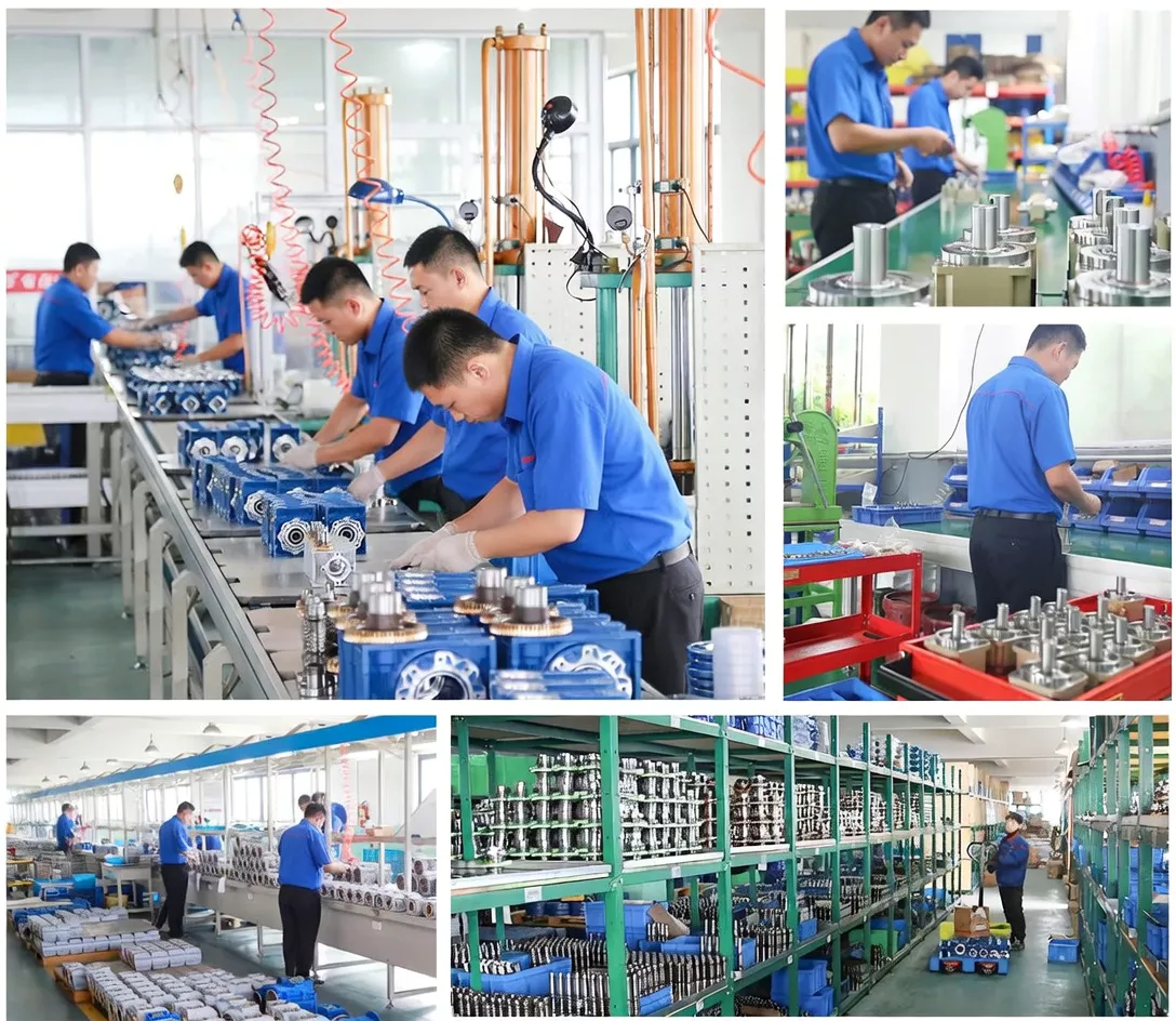 worm reducer manufacturing factory for Australia market