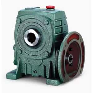 WPDKA Flange-Mounted Hollow Shaft Single Speed Worm Gear Reducer