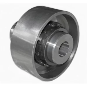 NGCL Drum Shape Gear Coupling with Brake Drum