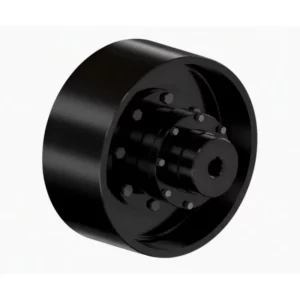 WGZ Drum Shape Gear Coupling with Brake Drum