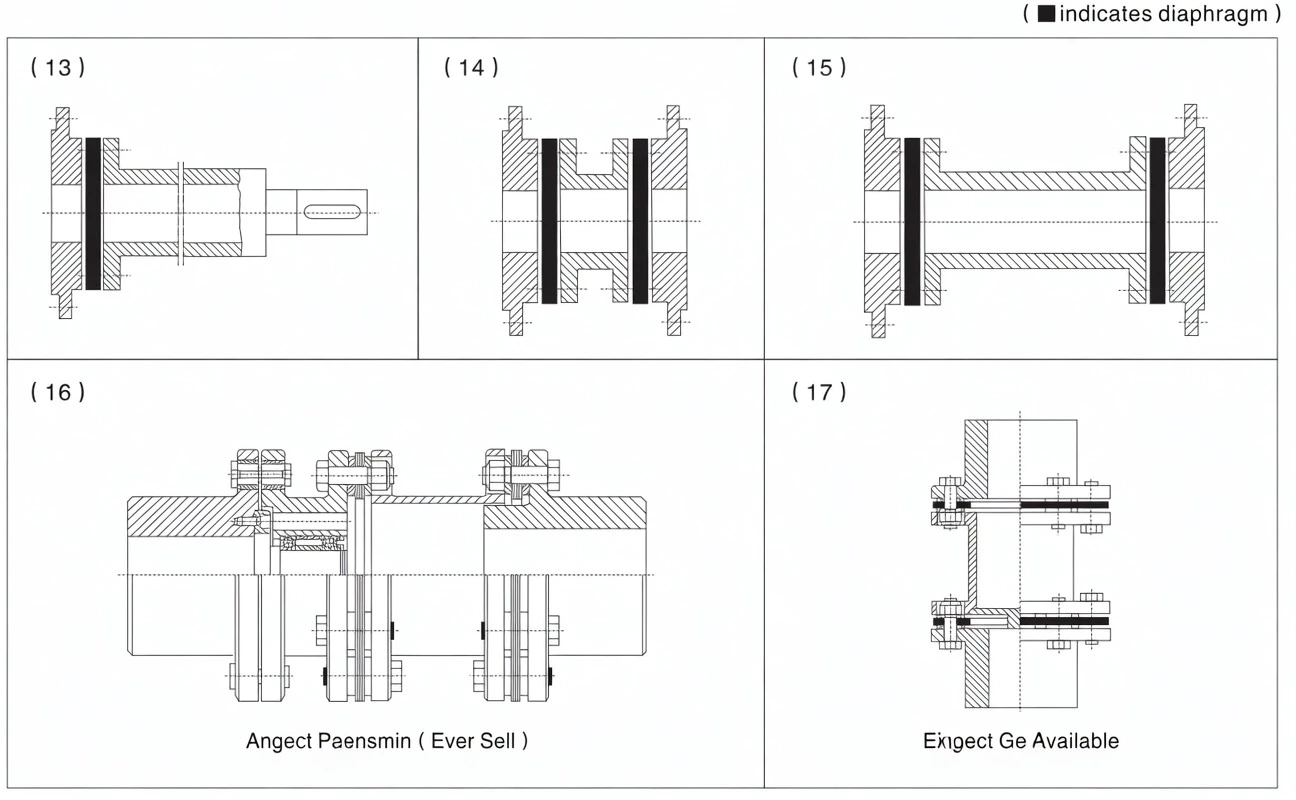 Diaphragm coupling various forms references drawings 13-17 including overload protection vertical mount