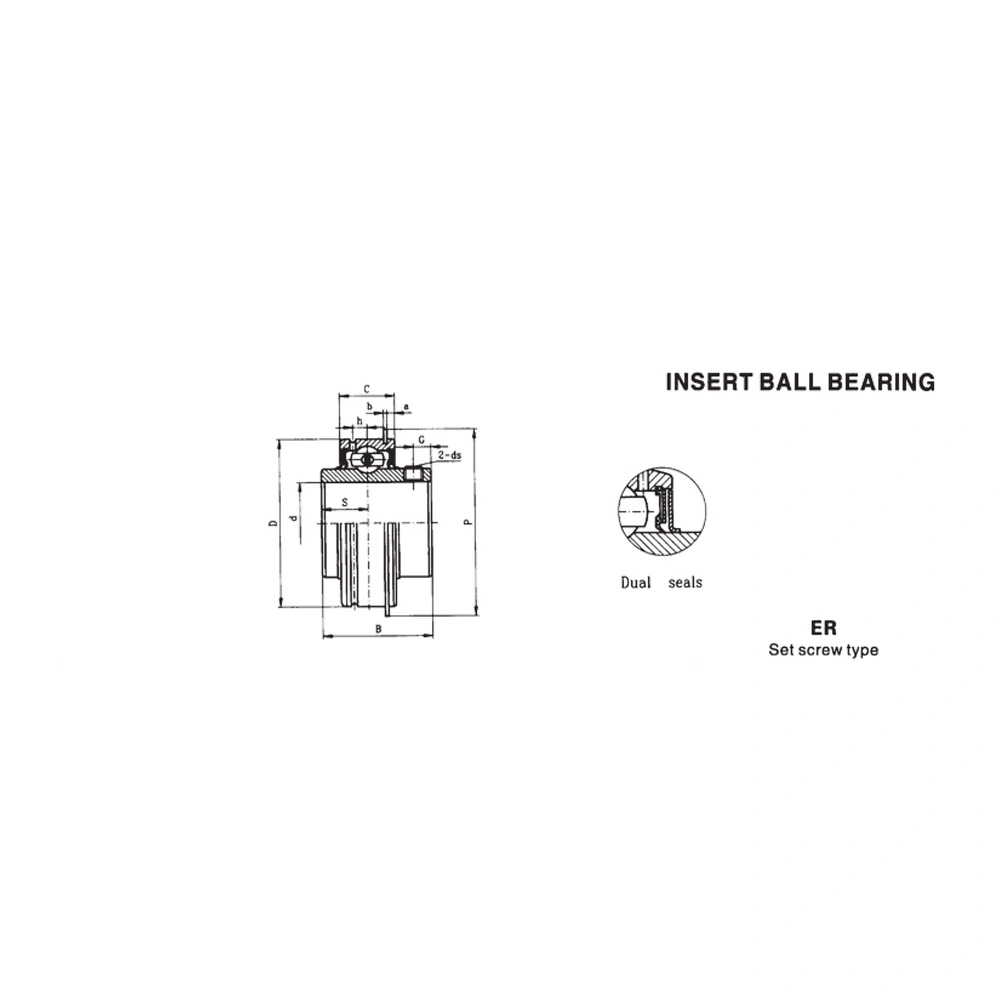 ER Extended Inner Ring Insert Bearing - Set Screw Type - Image 2