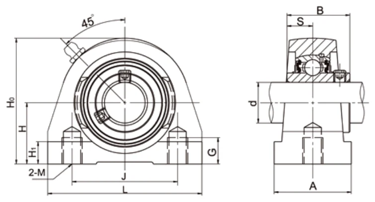 UCPW200 W-type tapped base pillow block dimensional drawing H L J M G thread specifications